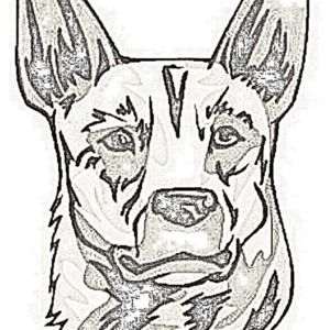 Meet your Posher, George